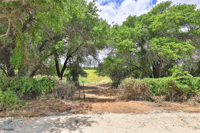 Listing photo 2 for TBD Cr 226, Clyde TX 79510