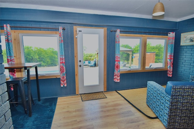 entryway featuring wood-type flooring and a wealth of natural light