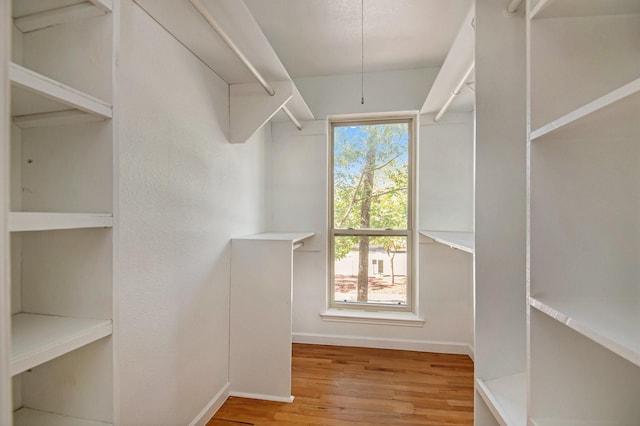 walk in closet with light wood-type flooring