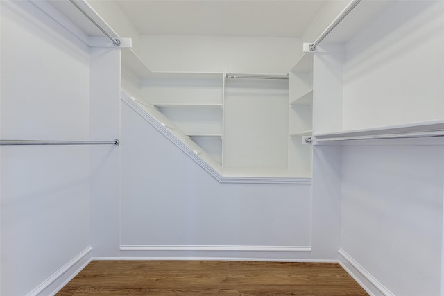 spacious closet featuring wood-type flooring