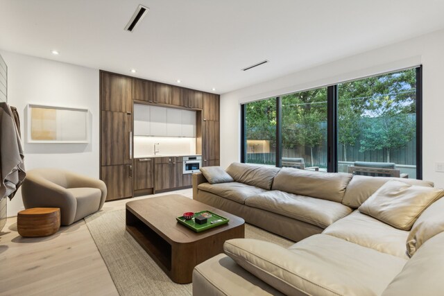 living room with light hardwood / wood-style floors and a healthy amount of sunlight