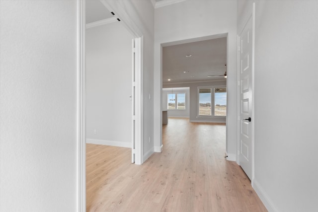 hallway featuring light hardwood / wood-style floors and ornamental molding