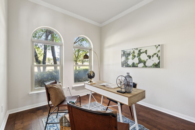 office space featuring dark hardwood / wood-style flooring and ornamental molding