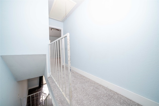 stairway featuring carpet floors