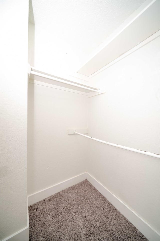 spacious closet with carpet