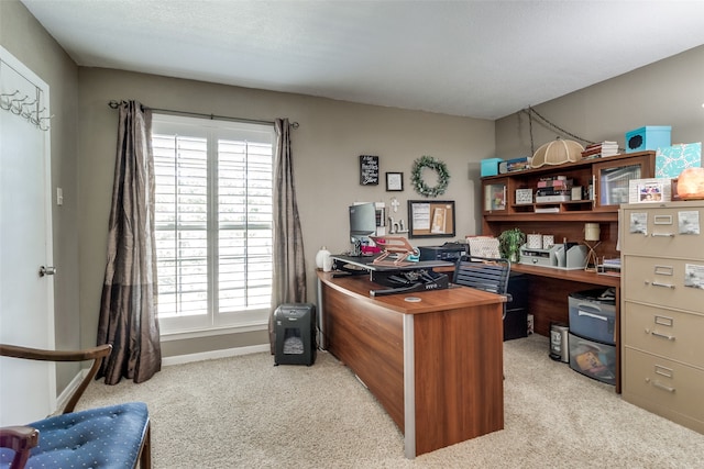 office space featuring light colored carpet