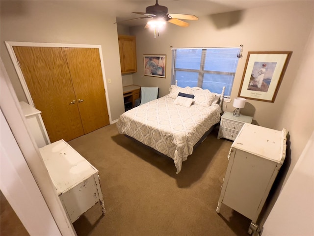 bedroom with ceiling fan, a closet, and dark colored carpet