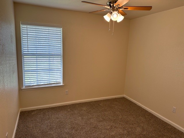 carpeted spare room with ceiling fan and a wealth of natural light