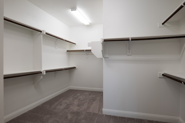 spacious closet featuring dark carpet