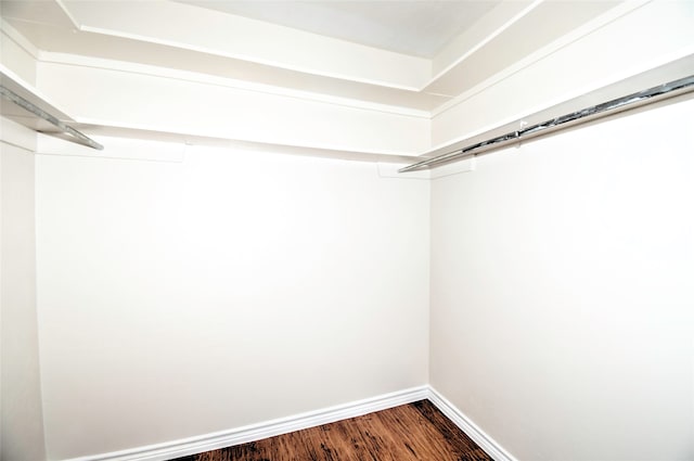 spacious closet featuring dark hardwood / wood-style floors