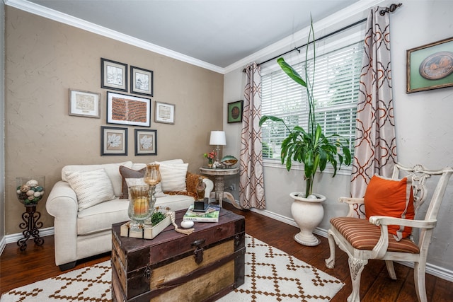 living room featuring dark hardwood / wood-style flooring and ornamental molding