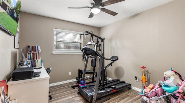 workout room featuring hardwood / wood-style floors and ceiling fan