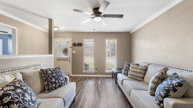 living room with ceiling fan, dark hardwood / wood-style flooring, and crown molding