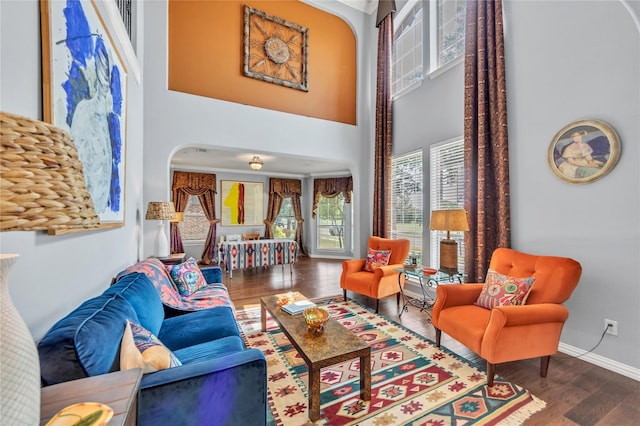 living room featuring a high ceiling and hardwood / wood-style flooring