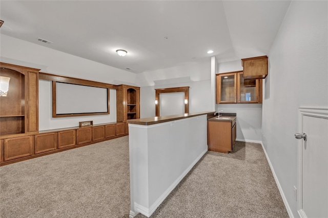 carpeted home theater room featuring sink