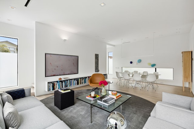 living room with light hardwood / wood-style flooring and a healthy amount of sunlight