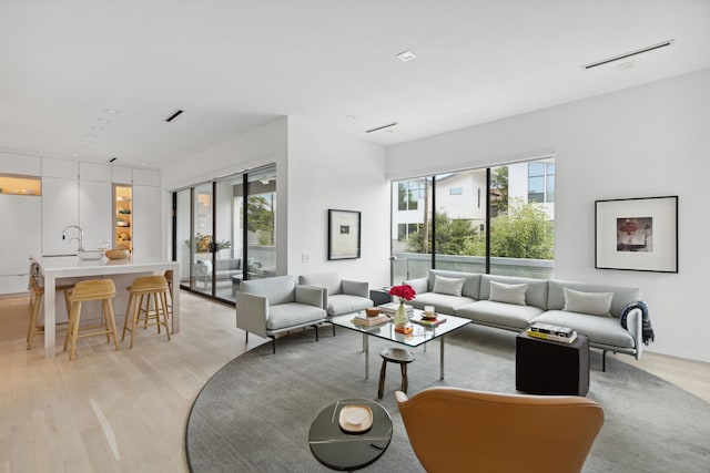 living room featuring light hardwood / wood-style flooring