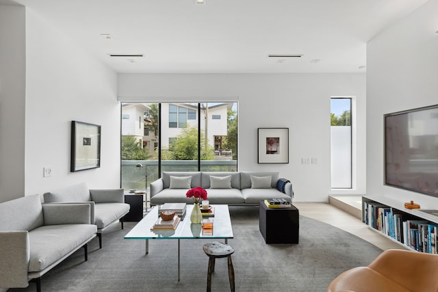 living room with a wealth of natural light