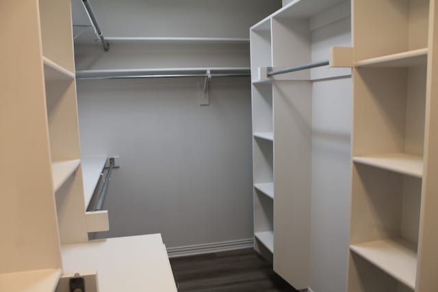 spacious closet with dark wood-type flooring