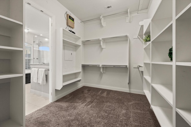 walk in closet featuring visible vents and carpet floors