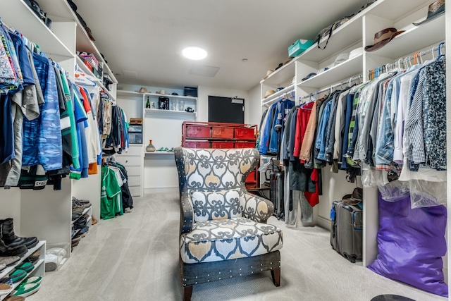 spacious closet featuring light carpet