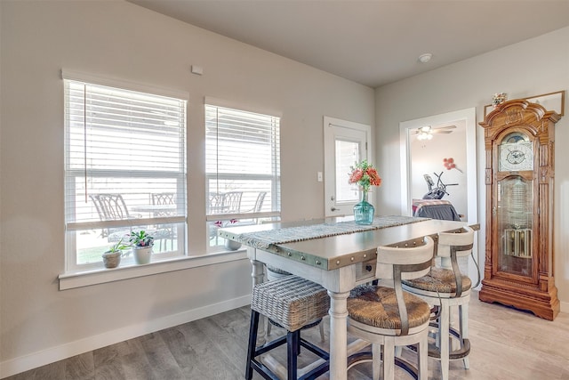 dining room featuring light hardwood / wood-style flooring, ceiling fan, and a healthy amount of sunlight