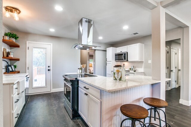 kitchen with white cabinetry, light stone counters, dark hardwood / wood-style floors, island exhaust hood, and appliances with stainless steel finishes