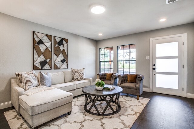 living room with wood-type flooring