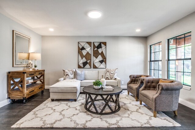 living room featuring dark hardwood / wood-style flooring