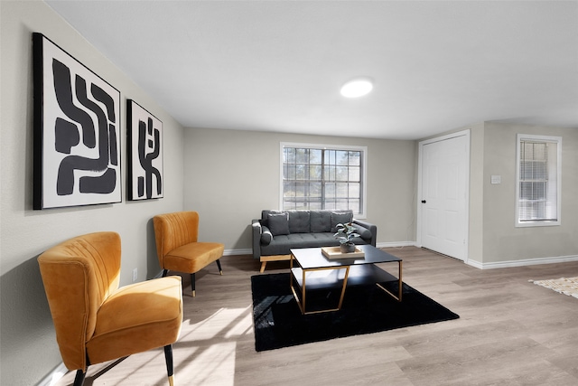 living room with light hardwood / wood-style floors