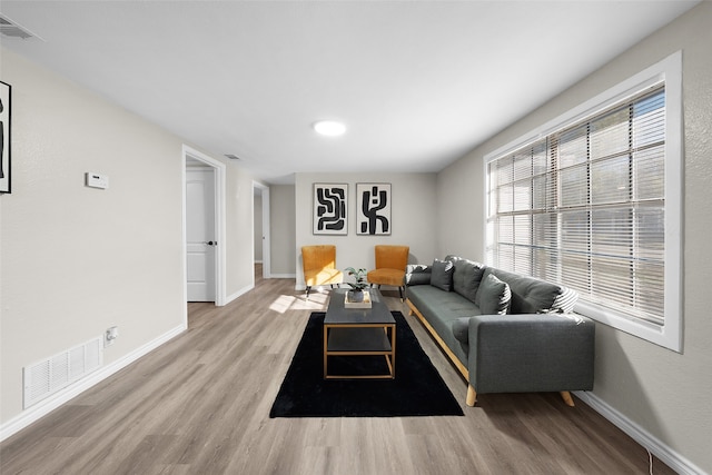 living room featuring hardwood / wood-style flooring