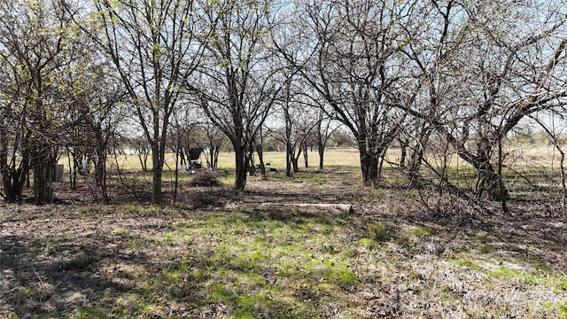 Listing photo 3 for 0000 NE 1050th Rd, Rice TX 75155