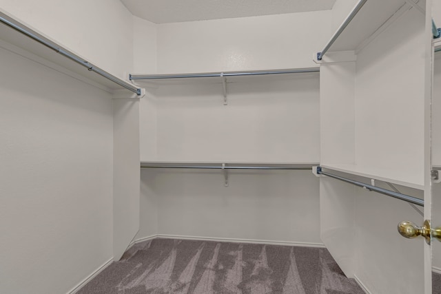 spacious closet featuring dark colored carpet