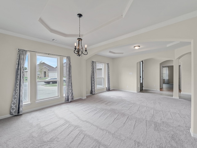 spare room featuring ornamental molding, light carpet, and a tray ceiling