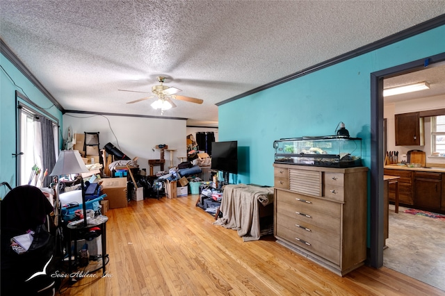 interior space with a textured ceiling, light hardwood / wood-style floors, and crown molding