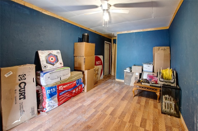 storage featuring ceiling fan