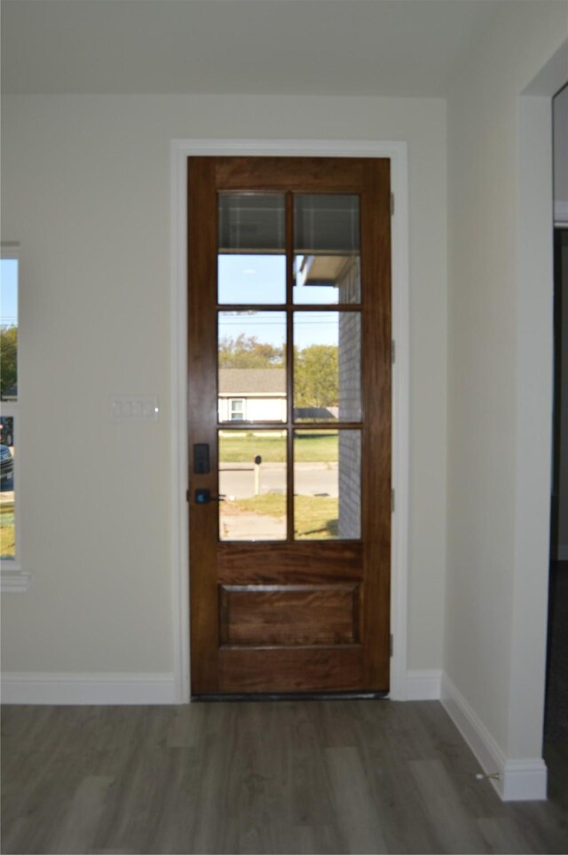 doorway to outside featuring dark wood-type flooring and a healthy amount of sunlight