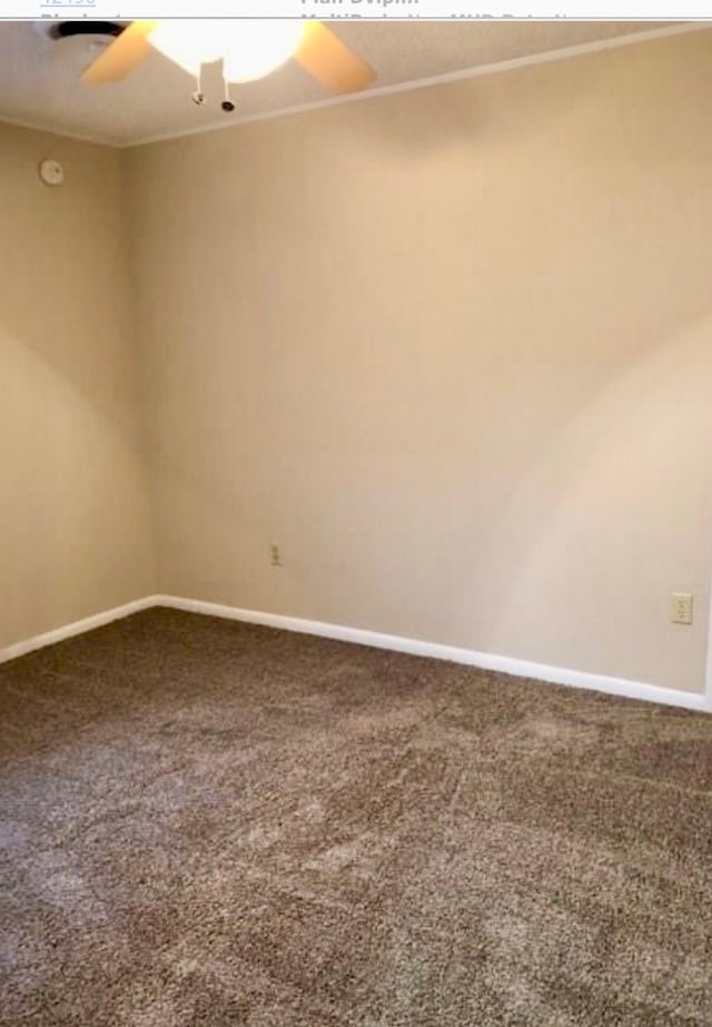 empty room featuring ceiling fan and carpet floors