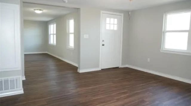 foyer entrance featuring dark wood-type flooring