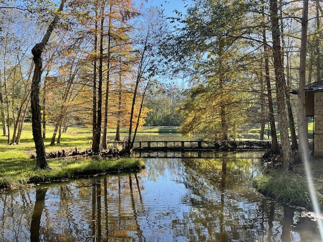 property view of water