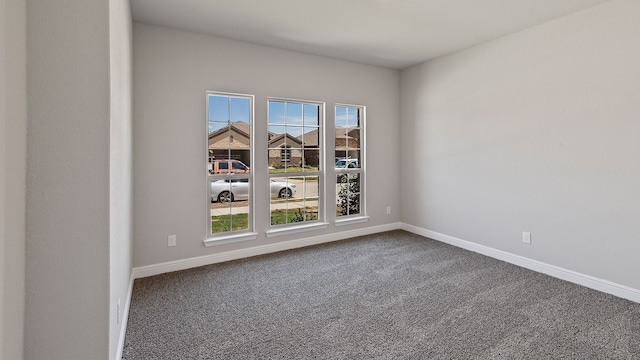 unfurnished room featuring carpet