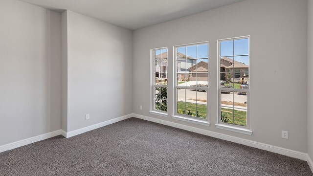 unfurnished room featuring carpet and a wealth of natural light