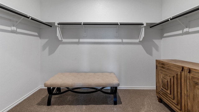 walk in closet featuring dark colored carpet