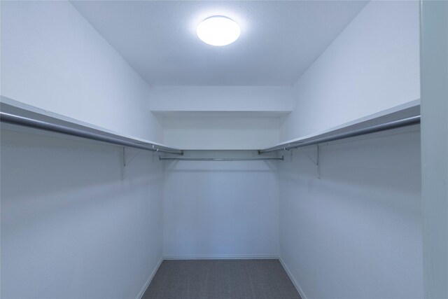 walk in closet with dark carpet