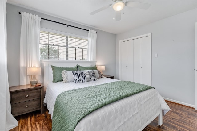 bedroom featuring ceiling fan, a closet, and dark hardwood / wood-style floors