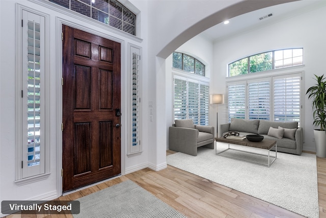 entryway featuring light hardwood / wood-style floors and a wealth of natural light