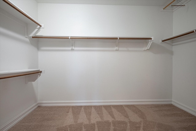 walk in closet with carpet