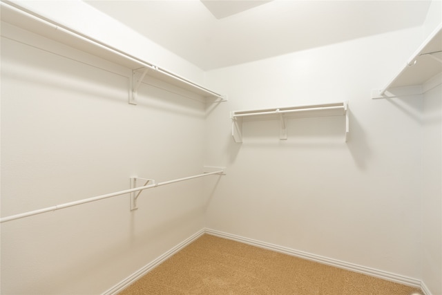 spacious closet with carpet