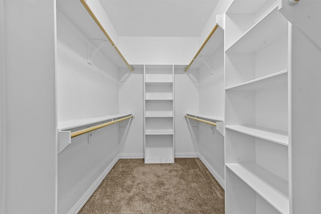 spacious closet with carpet floors