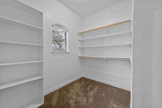 spacious closet featuring carpet floors